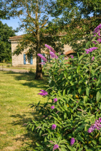 Ferme authentique avec chambres d’hôtes en Lomagne dans le Sud-Ouest