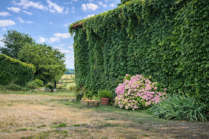 Moment de relaxation et bien-être à la ferme en pleine nature