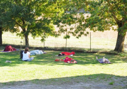 Sieste guidée