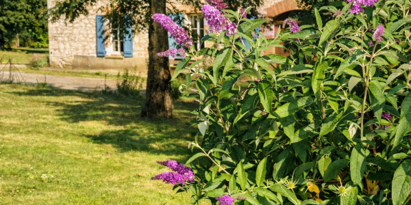 Jardin naturel permaculture dans une ferme en Lomagne