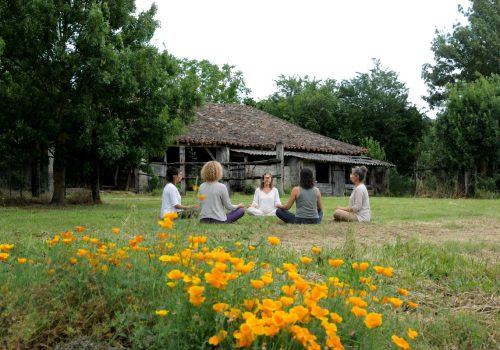 meditation